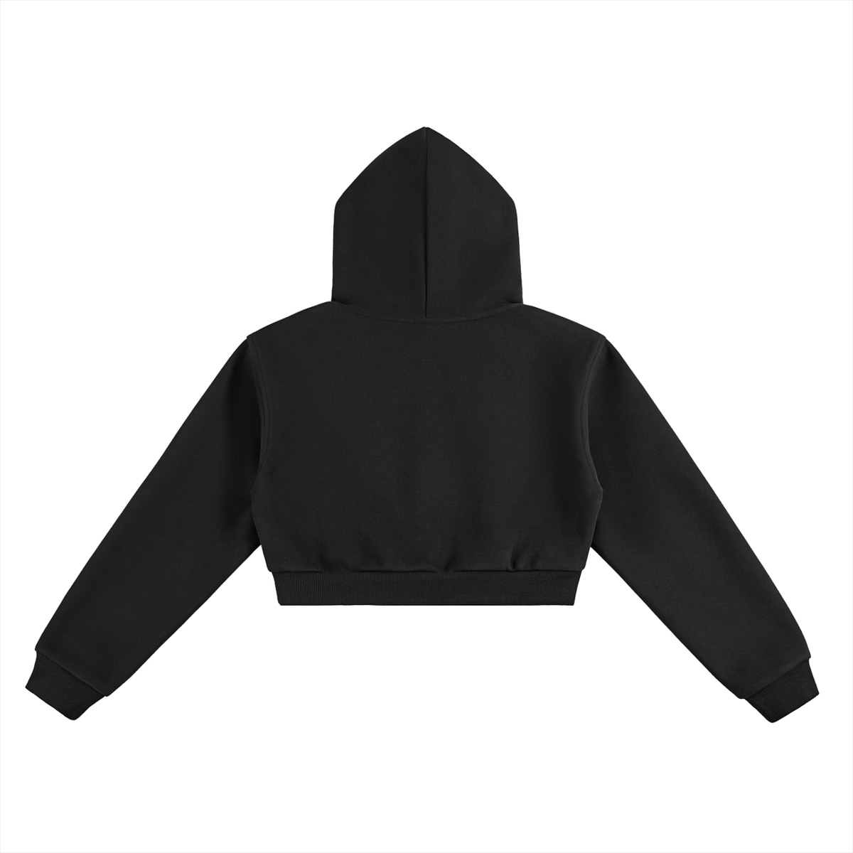 Tender Mercies - Women's Cropped Hoodie